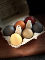 6 gekochte und mit Naturfarben gef&auml;rbte Weideeier